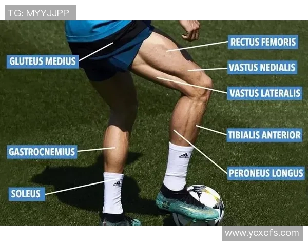 足球体力型球星的崛起与挑战:从跑动速度到耐力的全面分析与对比 足球体力型球星的崛起与挑战:从跑动速度到耐力的全面分析与对比