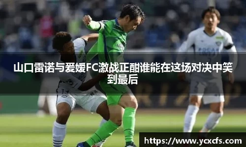多宝电竞官网